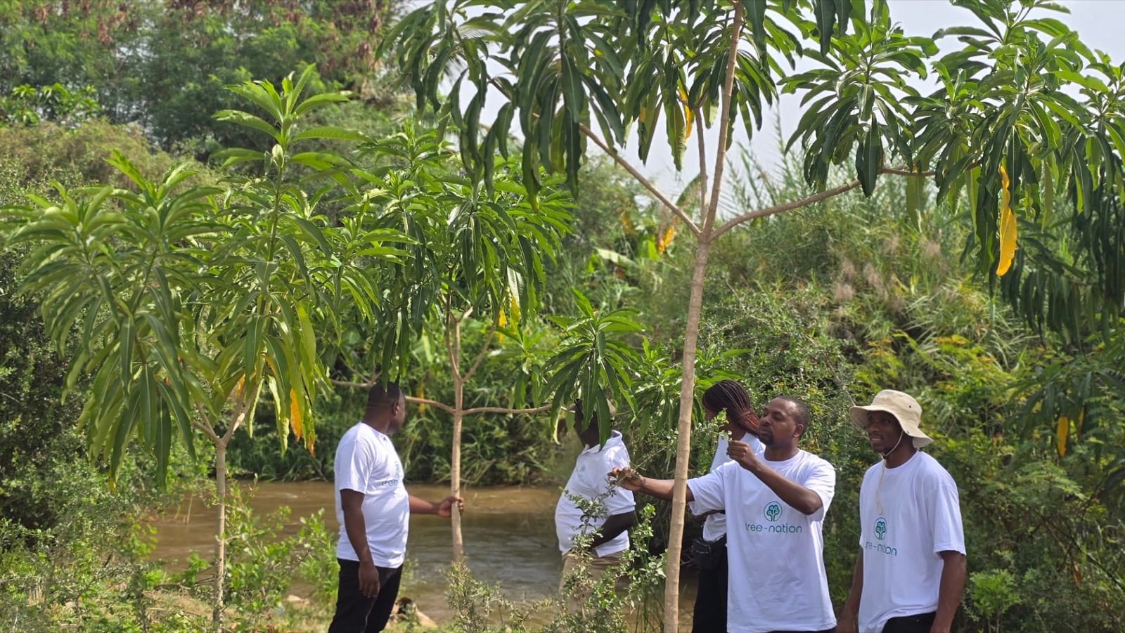 Tree-Nation planters checking on young trees growing beside a river