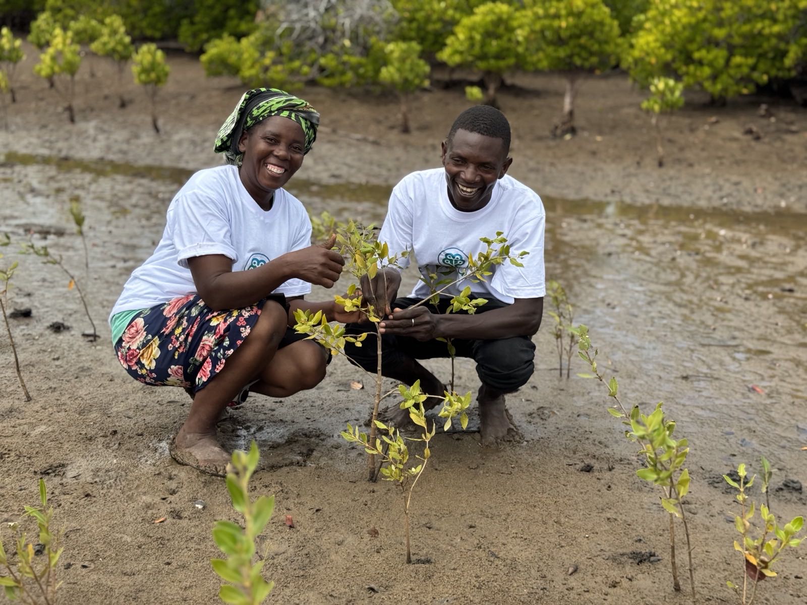 Two volunteers smiling as they hold up a young mangrove sapling on a tidal mudflat
