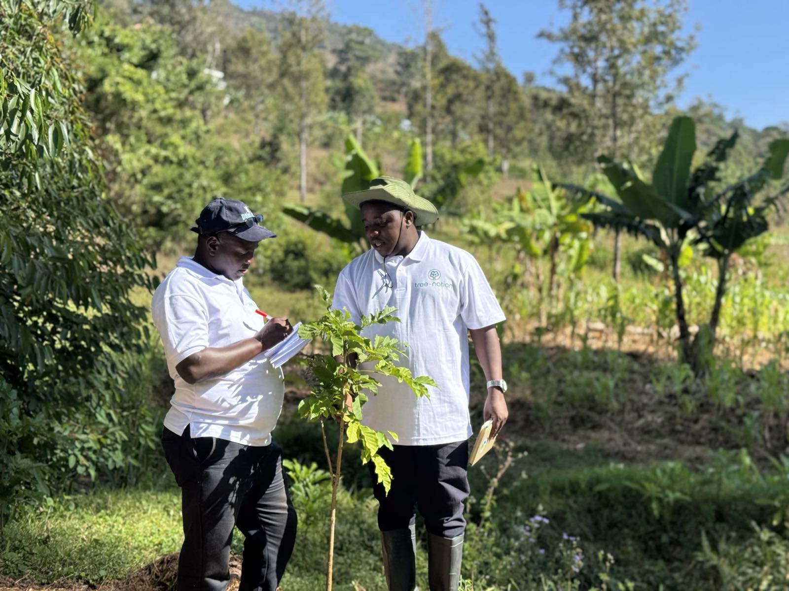 Two Tree-Nation field officers recording measurements next to a young tree