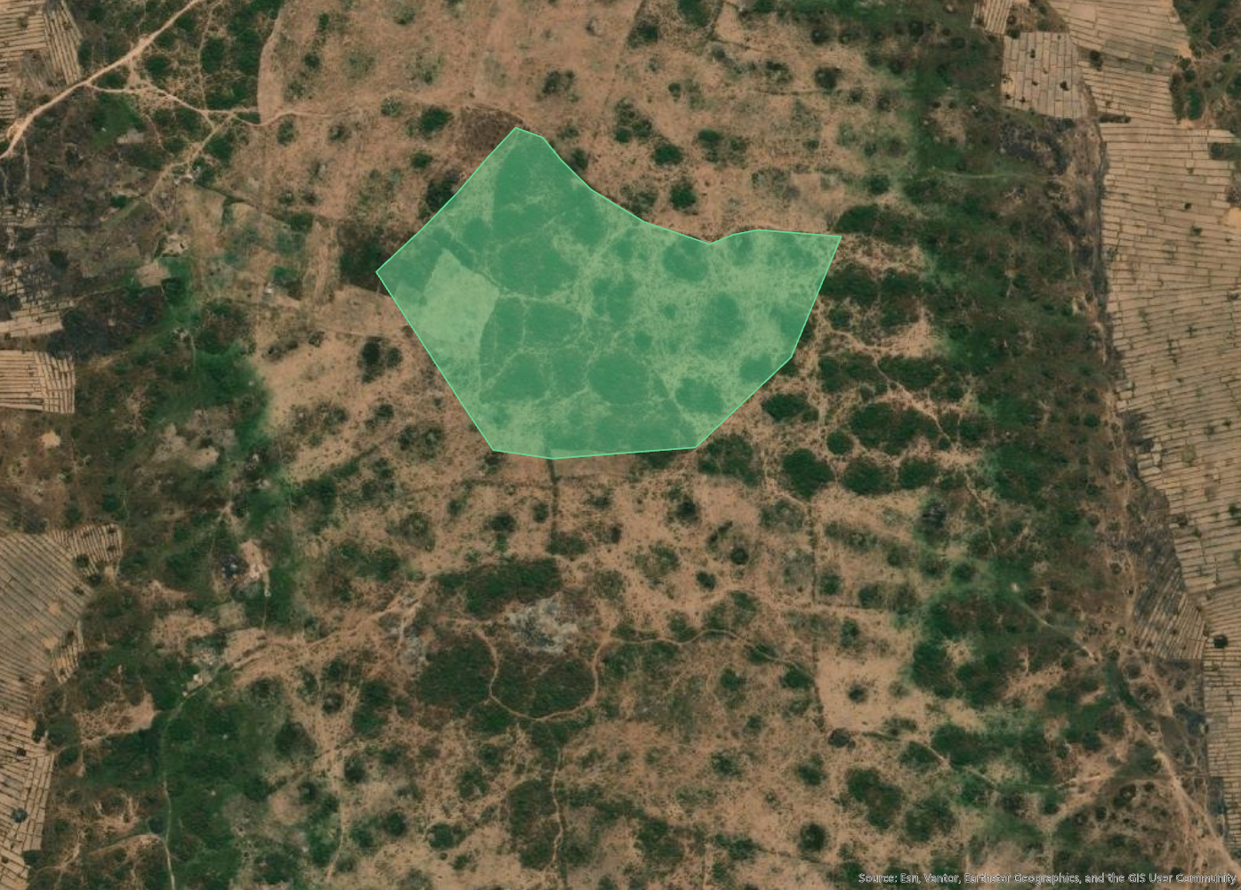 Satellite view of the Bufunda Genge Tano planting site in Tanzania with geotagged verification photo points inside the polygon