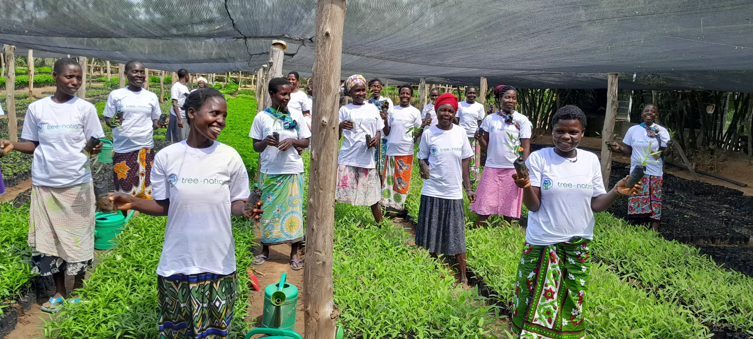 The Bore reforestation project in Kenya