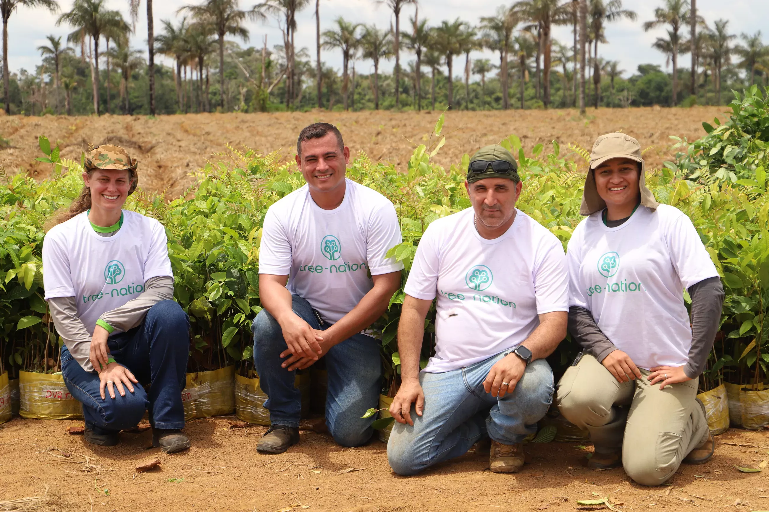 Reforest the Amazon Basin