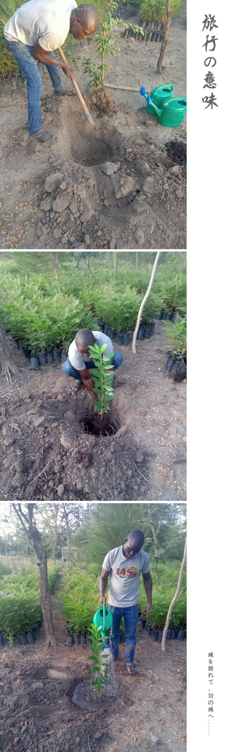 Ultimas Atualizacoes Do Projeto Konza Greens Kenya Tree Nation Atualizacoes Do Projeto